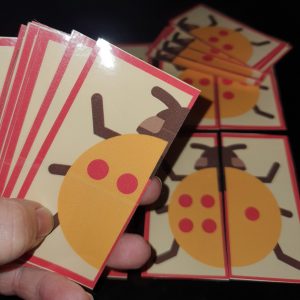 Ladybird cards