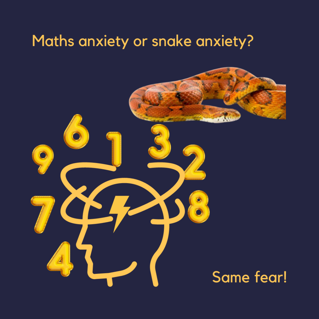Maths anxiety or snake anxiety, same fear!